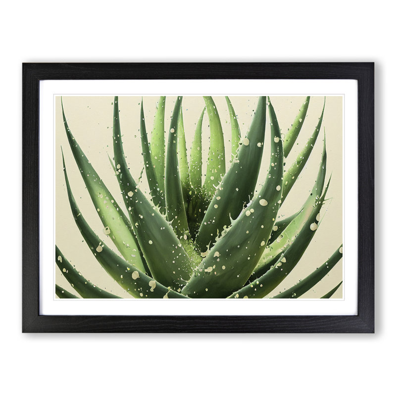 Angelical Aloe Vera Plant - Framed Print, 34cm H x 46cm W x 2cm D, Oak