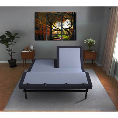 Queen Adjustable Bed Bt3000 - Head And Foot Positioning With Remote, 2 Programmable Settings, Chargers, , 3 Preset Positions  Tv/Zero Gravity/Lounge , Intense Massage, Led Lights, Emergency Battery