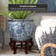 Vase-852586401