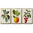 " Garden Gems I " 3 - Pieces-837693340-837693338