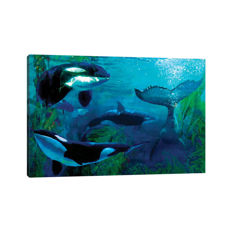 Orca by Lisa Robinson - Wrapped Canvas Print, 101.6 cm H x 66.04 cm W x 3.175 cm D