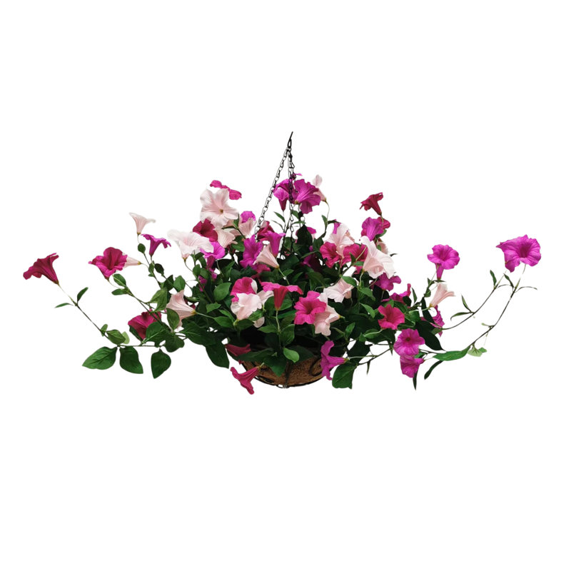 Hanging Basket Arrangement in Basket