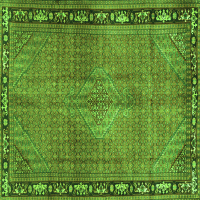 Performance Oriental Indoor Rug