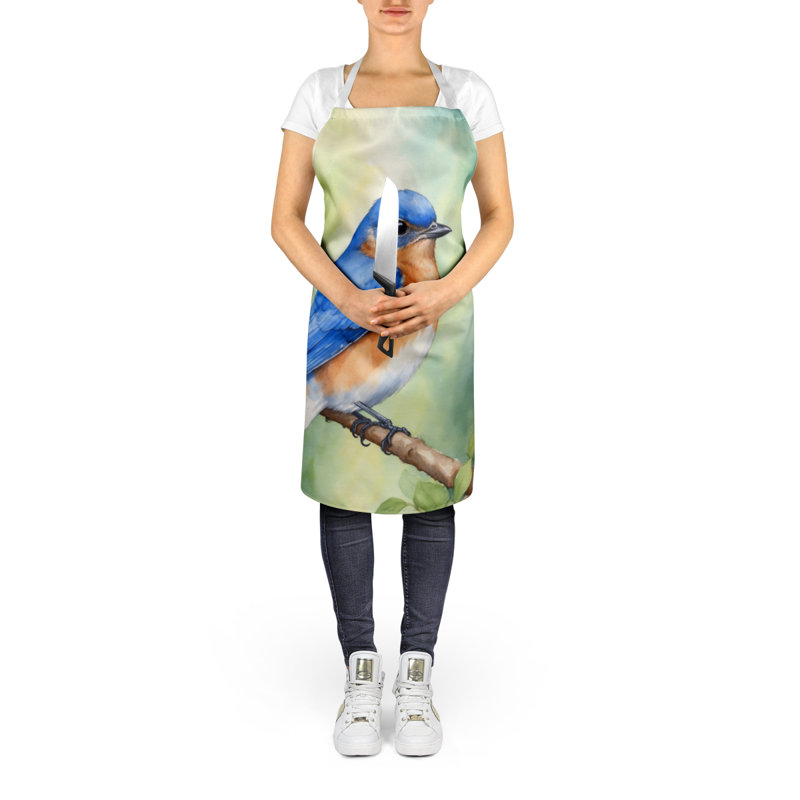 Apron, New York Eastern Bluebird