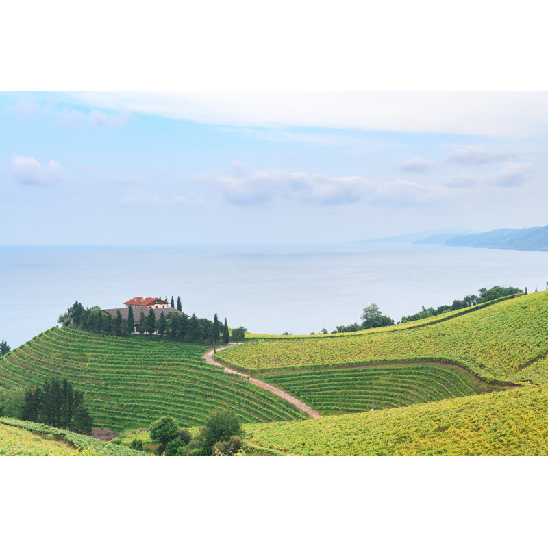 Rolling Vineyard Landscape - Wrapped Canvas Print, 30cm H x 46cm W x 3.8cm D