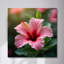 Art mural en verre trempé rose Hibiscus-592055293