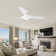 Deroy 56'' Ceiling Fan with LED Lights