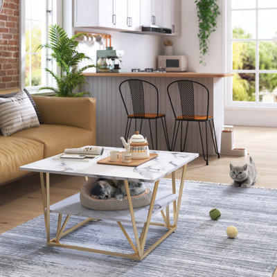 Carabella Floor Shelf Square Coffee Table with Storage by 17 Stories