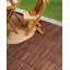 Outdoor Flooring ACCETTURA Certified Acacia Wood Natural-385714157