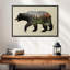 L'ours noir nord-américain-307570962-307570990