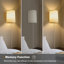 Virve Iron Plug-in Flush Mounted Sconce-2146582951