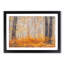 Orange Forest - Framed Print-55723658-55723659