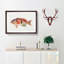 Illustration of a Rockfish by F.E. Clarke - Picture Frame Graphic Art Print-55579627-55579631