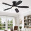  Ventilateur de plafond encastré 42 po avec lumière et télécommande Cissline