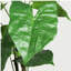 30 po Alocasia artificielle avec pot blanc (ensemble de 2), plante artificielle tropicale réaliste pour la décoration intérieure, le salon, la chambre à coucher et le bureau