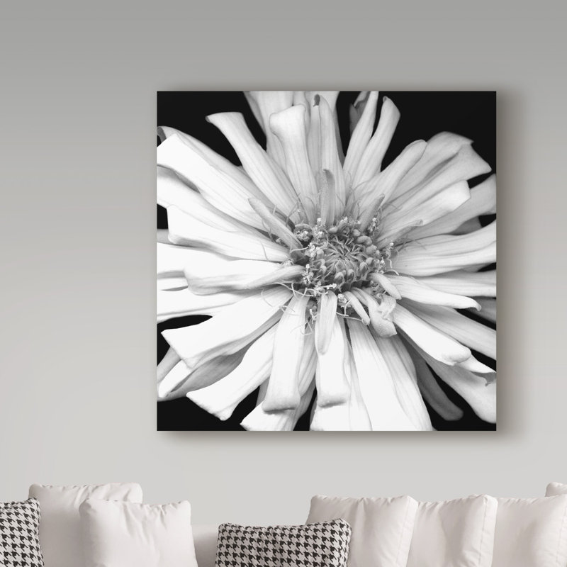 «Zinnia Black and White» par Dosta, impression sur toile tendue, H 24 po x l 24 po x P 2 po