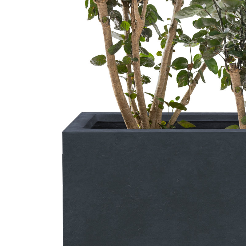Pot de fleurs en béton, H 23,62 po x l 11,02 po x P 11,02 po