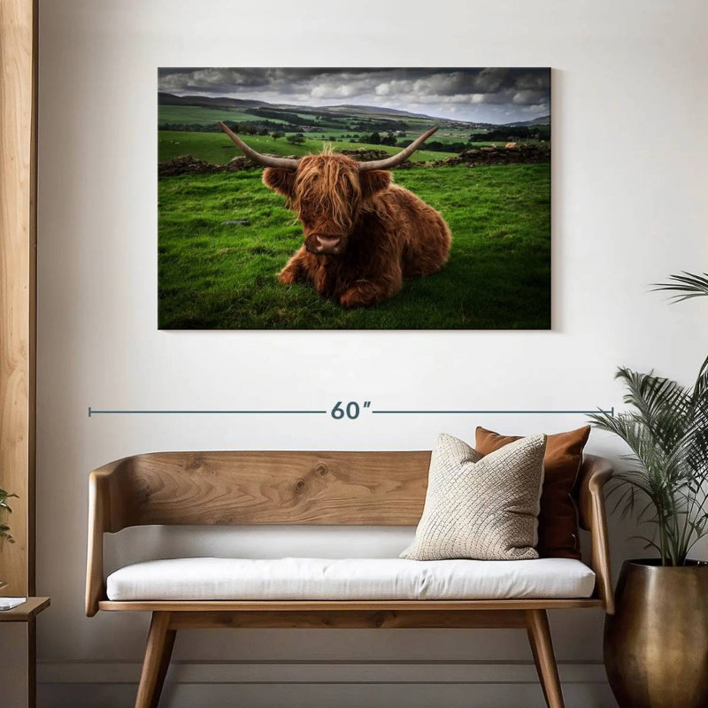 Brampt Mellow Highland Cow, 30" H x 45" W