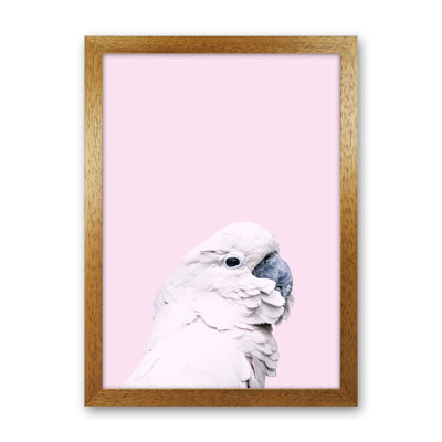 Pink Cockatoo by Victoria Frost - Print