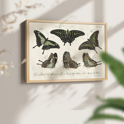 Crackled Butterflies II -Framed Print - Restickable