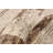Tangier Ivory Rug 8'0" x 9'11"