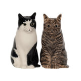 Salt And Pepper - Cat - Barney And Clementine