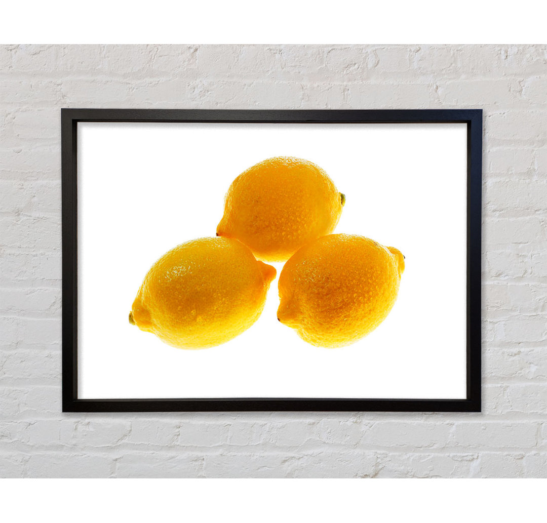 Trio Of Lemons - Einzelner Bilderrahmen Kunstdrucke auf Leinwand