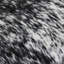 Cowhide Rug Speckled