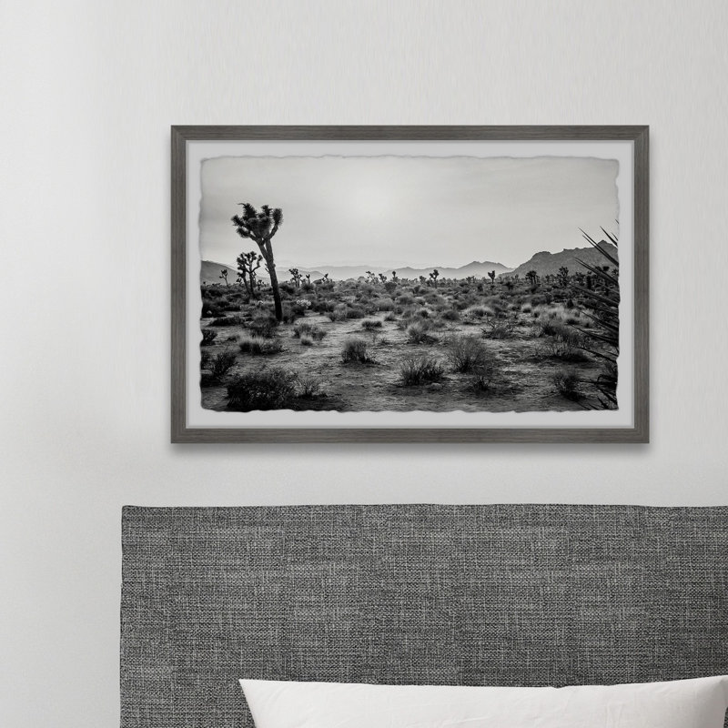 Reproduction de photo sur papier « joshua sapins », H 16 po x l 24 po x P 1,5 po