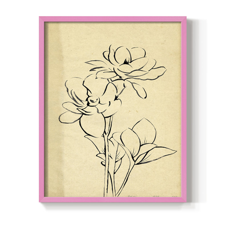 «Magnolia S croquis II», reproduction encadrée - bois massif, H 21 po x l 17 po, Rose