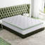 Matelas pour grand lit hybride infusé au thé vert 12 po Ginger-1237881133-1209768646