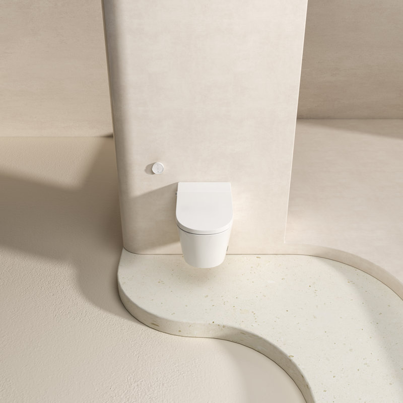 MEJE Wall Hung Smart Toilet Combo with Basic Intelligent Function, Auto Flush,Foot Kicking Flush, Heated Seat, Nightlight,  with Integrated Water Tank and In-Wall Carrier (No Need Additional Water Tank)