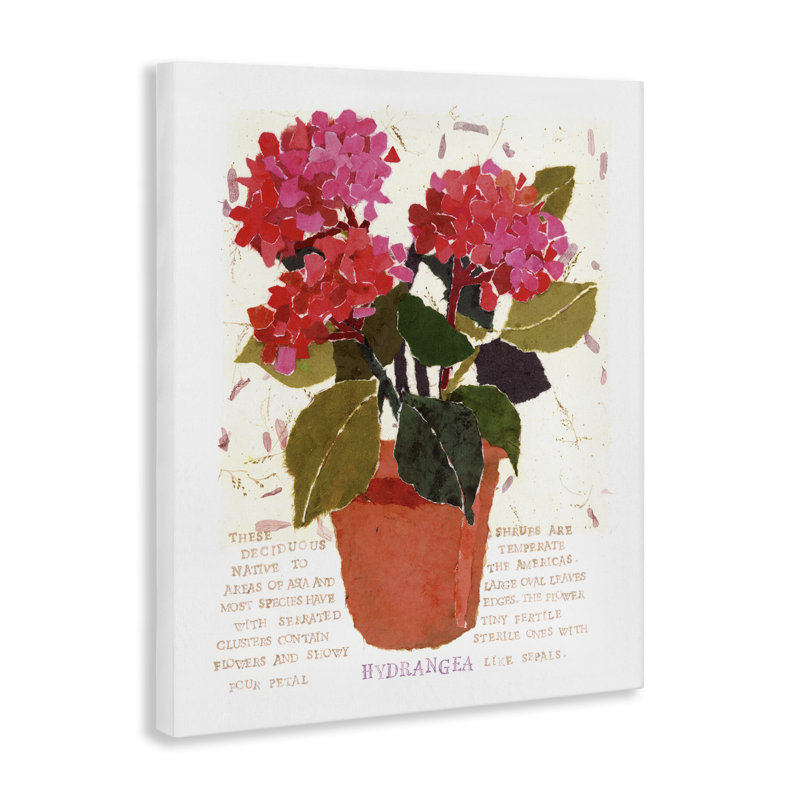 «Bold Red Hydrangea» par Nancy Overton, H 20 po x l 16 po