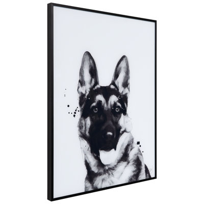 Berger allemand - cadre photo, impression sur verre