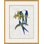 Hummingbirds Giclee Print by John Gould