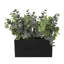 Baty 9,4 po plante d'eucalyptus en pot en céramique
