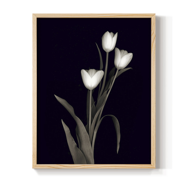 «Tulip Pose I», reproduction encadrée - bois massif, H 15 po x l 12 po