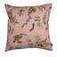 Protea Garden - Solaris-835041547