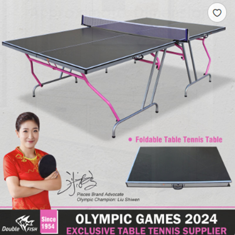 Portable Foldable Table Tennis Table by Double Fish - Complete Set Includes Net, 2 Paddles, 3 Balls for Indoor Outdoor Use