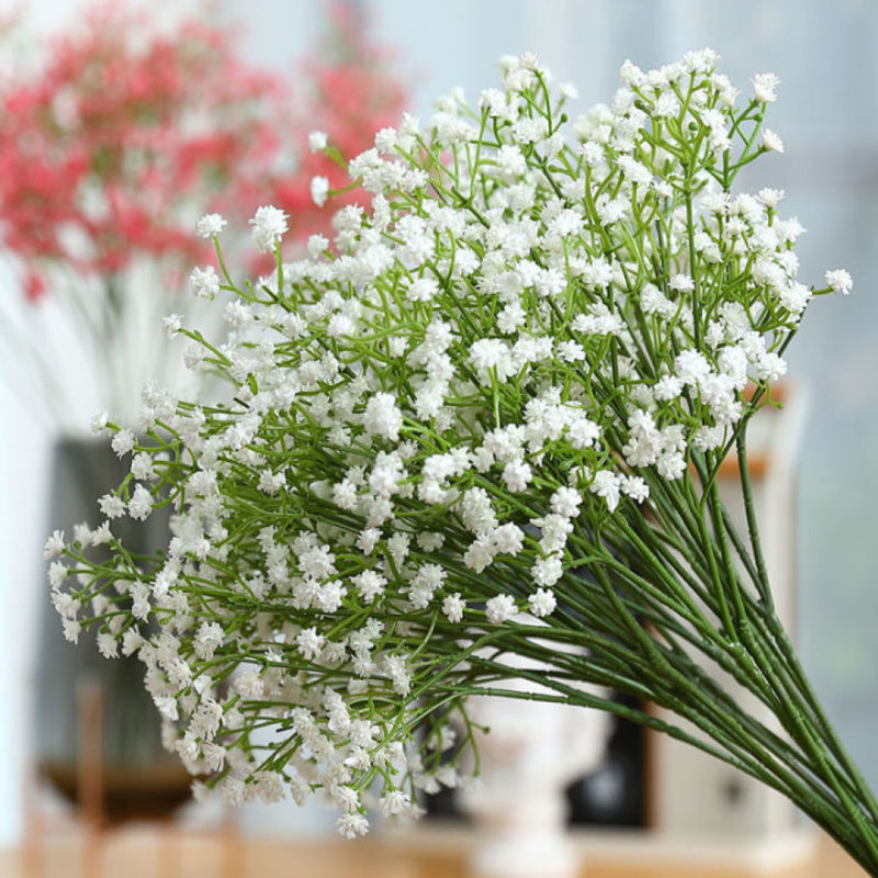 Arrangement floral Maldonado, Blanc