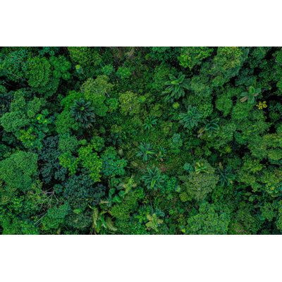 " Aerial Top View " by Jarnoverdonk