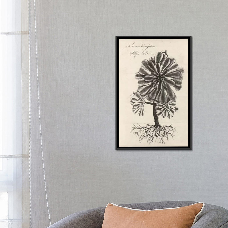 « thornton plantes grasses iv », reproduction d’art sur toile, H 26 po x l 18 po x P 1,5 po, Toile avec cadre noir, Blanc
