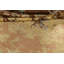 Tapis oriental en laine / soie Jud