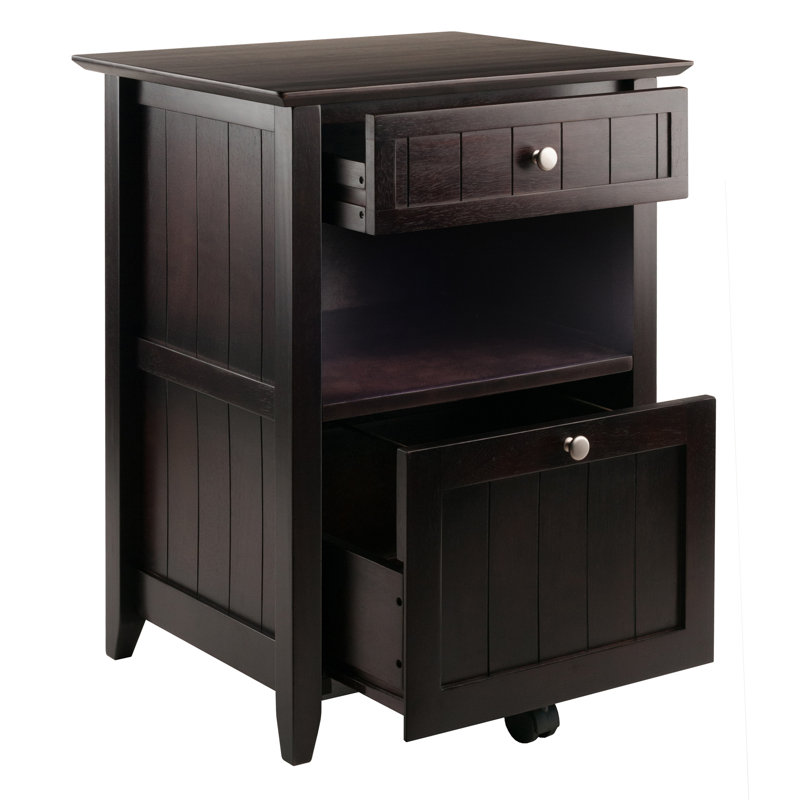 24.17'' Wide 2 -Drawer Mobile File Cabinet
