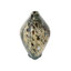 Vase Irida