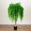 Willow Artificial Tree (Real Touch)-100485926