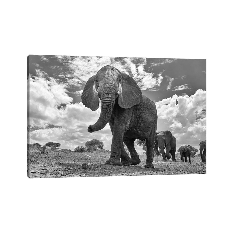 Matriarch March 1 Piece Wrapped Canvas Wall Art, 20.32 cm H x 30.48 cm W
