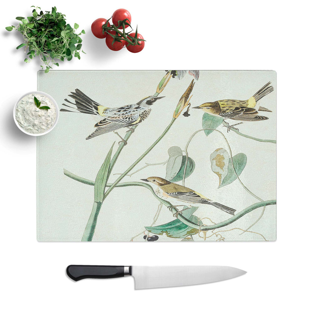 Tempered Glass Yellow-Crown Warbler Birds by John James Audubon Chopping Board