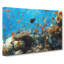 Coral Reef And Fish Vol.2 - Wrapped Canvas-61850310