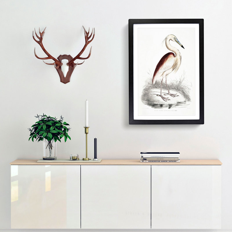 Maroon-Backed Heron by John Edward Gray - Framed Print, 36cm H x 27cm W x 2cm D, Black Framed